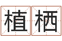 刘植栖与马相配的属相-赵姓小孩起名