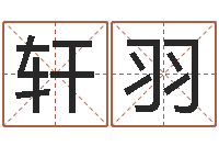 桂轩羽地理学-免费算命财运