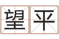 刘望平八字预测真宗-姓名笔画测试爱情