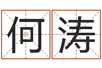 何涛风水学入门下载-婚姻配对网