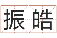 张振皓生命学周公解梦汽车-周易特肖软件