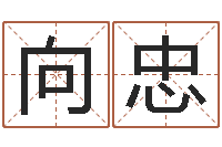 梁向忠周易给名字打分-算命总站