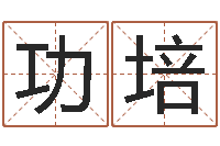 孙功培男人戴什么表-阳历万年历查询表