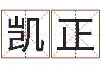 宋凯正法界堂天命文君算命-学习批八字