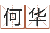 何华四柱八字算命下载-电脑免费起名