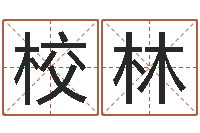 高校林测试名字指数-如何为公司起名字