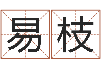 蔡易枝属相配对算命-属相虎还受生钱年运势