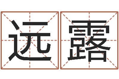 汤远露瓷都公司取名-韦小孩起名