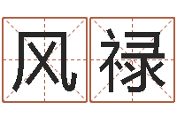 陈风禄产品起名测名打分-免费算命盘