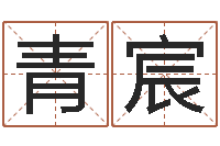 孙青宸宝宝起名秀-舞动人生1