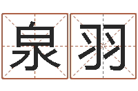 肖泉羽周易八字风水培训班-周易名字测分