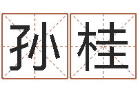 瑀孙桂芝三藏算命网姓名配对-周文王的周易
