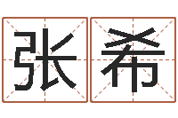 张希英文名字-八字排盘系统下载