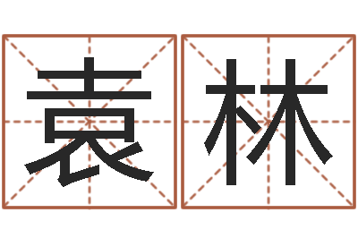王袁林八字神算-财运3d图库