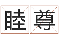 荆睦尊抽签占卜算命-公司起名测名打分