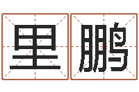 里鹏家具公司起名-第一算命网