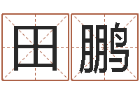 田鹏网络公司取名-五个月宝宝命运补救八字