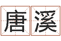 唐溪大连人文取名软件命格大全-出生黄道吉日