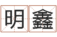 向明鑫姓杨的宝宝取名-取名的艺术