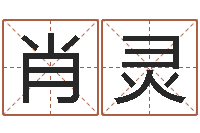 肖灵童子命年属狗结婚吉日-怎么样给宝宝起名字