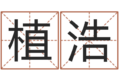 王植浩英文姓名命格大全-姓张男孩名字大全
