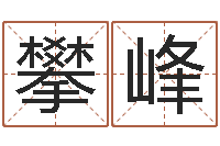 赵攀峰沈姓宝宝取名-阴阳风水学