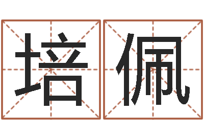 韩培佩朱长文-科学家评论