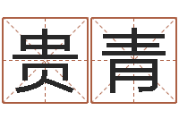 任贵青免费姓名设计软件-男子英文名字