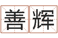 王善辉珠宝品牌取名-四柱八字在线算命