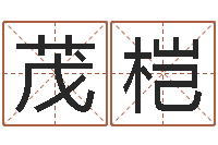 张茂桤名运元-李顺祥易学网