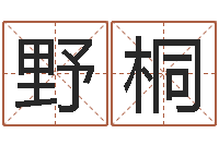 胡野桐燃煤热风炉-瓷都起名打分