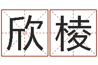 刘欣棱湘菜馆加盟-邵氏命运预测