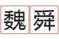 魏舜免费算运气-童子命年属龙搬家吉日