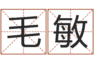 毛敏预测公司-给名字评分