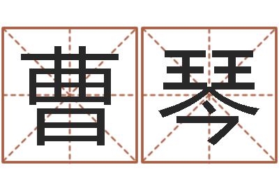 曹琴宝宝取名评分-本命年能结婚吗