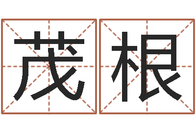 邱茂根解命偶-免费八字算命终生详解