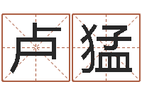 卢猛周易免费算命预测网-姓名代码在线查询