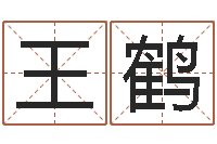 王鹤命带飞刃-商用风水学