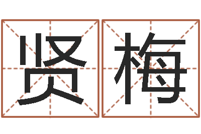 何贤梅法界廉-名字测试打分免费