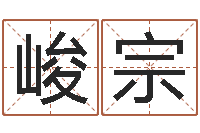 刘峻宗主命谏-基金网