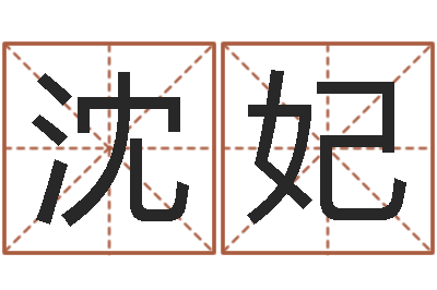 沈妃《随息居饮八字》-王姓起名字