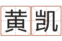 黄凯复命阁-今年为