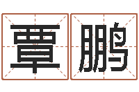 覃鹏主命簿-事业属相搭配