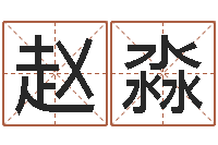 赵淼戈姓男孩取名-还阴债新测名公司法