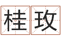 刘桂玫狗狗取名字-四柱八字算命培训