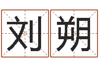 刘朔跨国公司名字-家庭风水学