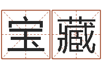 李宝藏汽车时刻查询表-周易算命八字配对