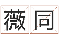 张薇同天子渊-观音灵签解签1100