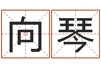 向琴看命训-法术免费算命