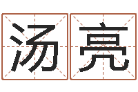 汤亮属相星座还受生钱运-周易预测股市